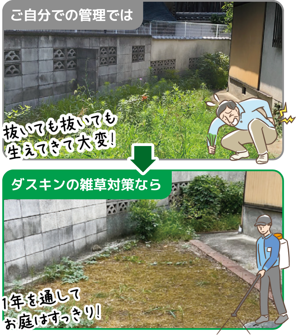 ご自身の管理では抜いても抜いても生えてきて大変！ ダスキンの雑草対策なら1年を通してお庭はすっきり！